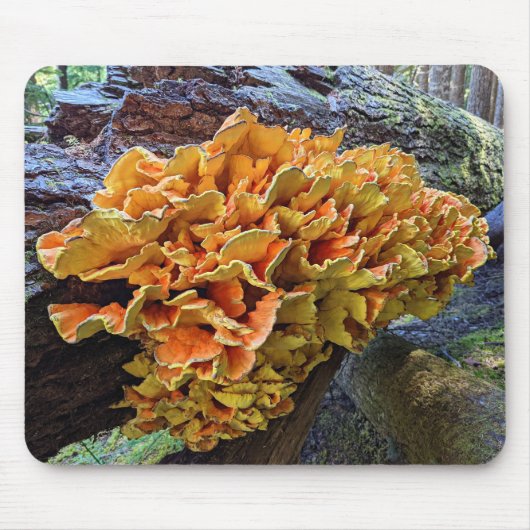 Hühner des Wald Pilz-Fotos Mousepad (Vorne)