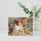 Hühner, die mit ihren Hühnern wurzeln Postkarte (Stehend Vorderseite)