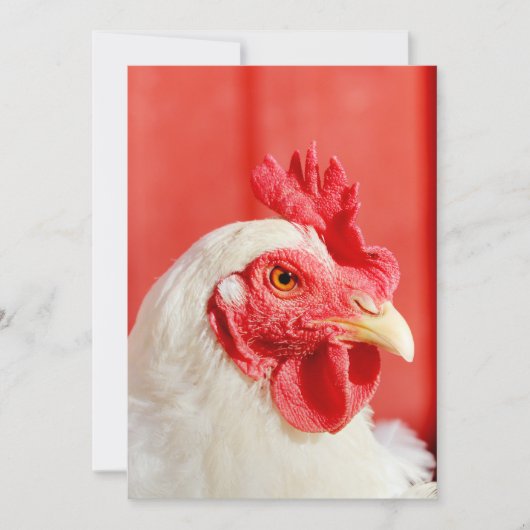 Hühner Einladung (Vorderseite)