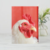 Hühner Einladung (Stehend Vorderseite)