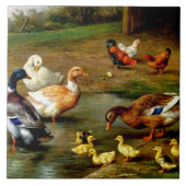 Hühner, Enten und Enten im landwirtschaftlichen Be Fliese (Vorderseite)