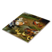 Hühner, Enten und Enten im landwirtschaftlichen Be Fliese (Seite)