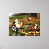 Hühner, Enten und Enten im landwirtschaftlichen Be Leinwanddruck (Vorderseite)