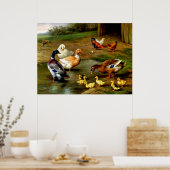 Hühner, Enten und Enten im landwirtschaftlichen Be Poster (Küche)