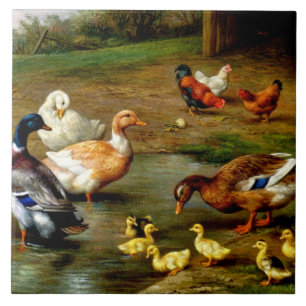 Hühner, Enten und Entenküken auf dem Bauernhof Fliese