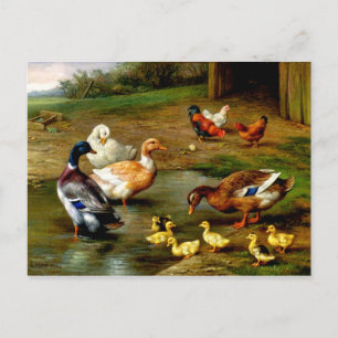 Hühner, Enten und Entenküken auf dem Bauernhof Postkarte