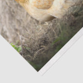 Hühner-Farm-Dekoupage-Gewebepapier Seidenpapier (Ausschnitt)