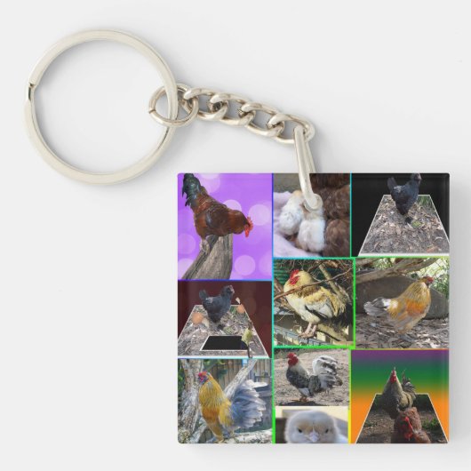 Hühner-Foto-Collarge, Schlüsselanhänger (Vorderseite)