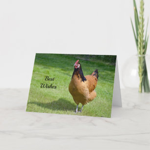 Hühner-Glückwunsch-Hochzeitskarte Karte