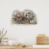 Hühner & Hen Antiker Lithographischer Druck Poster (Küche)