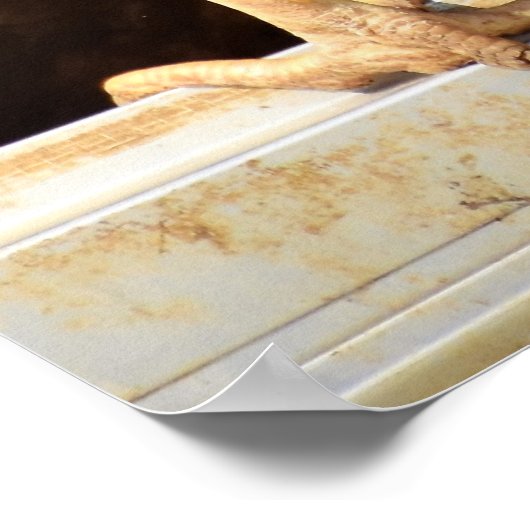 Hühner-Hintern Poster (Ecke)