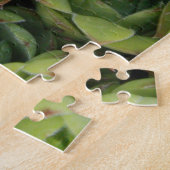 Hühner & Hühner Sukkulente Pflanze Puzzle (Seite)