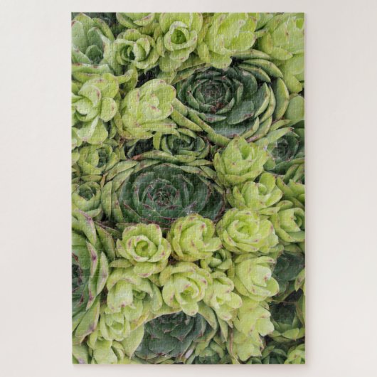 Hühner & Hühner Sukkulente Pflanze Puzzle (Vertikal)