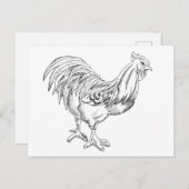Hühner in Pen und Tinte Postkarte (Vorne/Hinten)