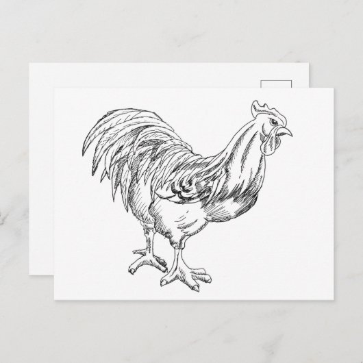 Hühner in Pen und Tinte Postkarte (Vorne/Hinten)