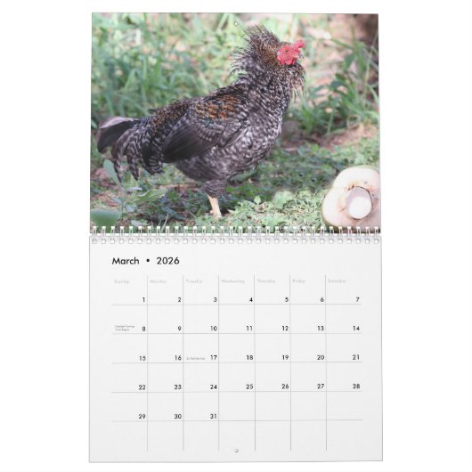 Hühner Kalender (Mär 2026)