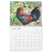 Hühner Kalender (Jan 2027)