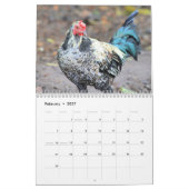 Hühner Kalender (Feb 2027)