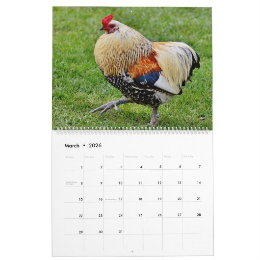 Hühner Kalender (Mär 2026)