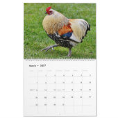 Hühner Kalender (Mär 2027)