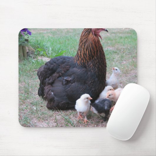Hühner, Küken, Küken, Tiere, Vögel, Mousepad (Mit Mouse)