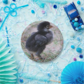 Hühner, Küken, Küken, Tiere, Vögel, Pappteller (Party)