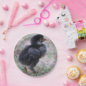 Hühner, Küken, Küken, Tiere, Vögel, Pappteller (Party)