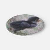 Hühner, Küken, Küken, Tiere, Vögel, Pappteller (Schrägansicht)