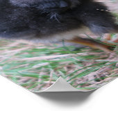 Hühner, Küken, Küken, Tiere, Vögel, Poster (Ecke)