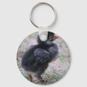 Hühner, Küken, Küken, Tiere, Vögel, Schlüsselanhänger