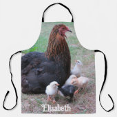 Hühner, Küken, Küken, Tiere, Vögel, Schürze (Vorderseite)