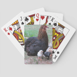 Hühner, Küken, Küken, Tiere, Vögel, Spielkarten