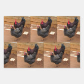 Hühner - Landwirtschaftliche Lebensweise - Umhüllu Geschenkpapier Set (Vorderseite 2)