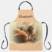 Hühner mit Federkissen Schürze (Vorderseite)