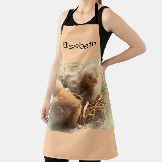Hühner mit Federkissen Schürze (InSitu)