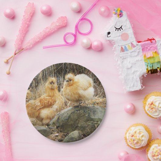 Hühner Pappteller (Party)