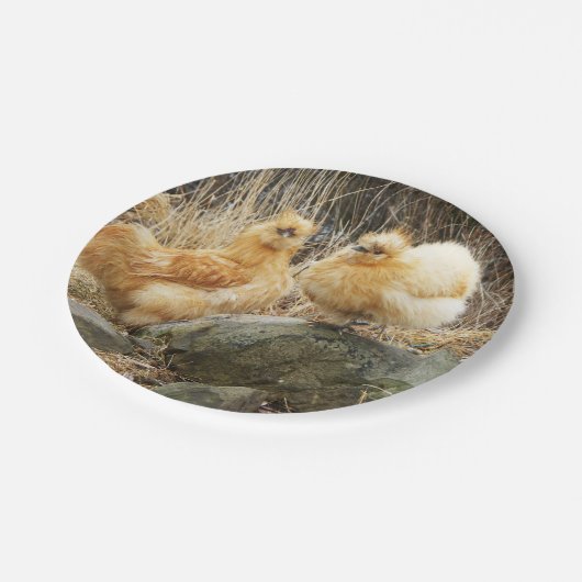 Hühner Pappteller (Schrägansicht)