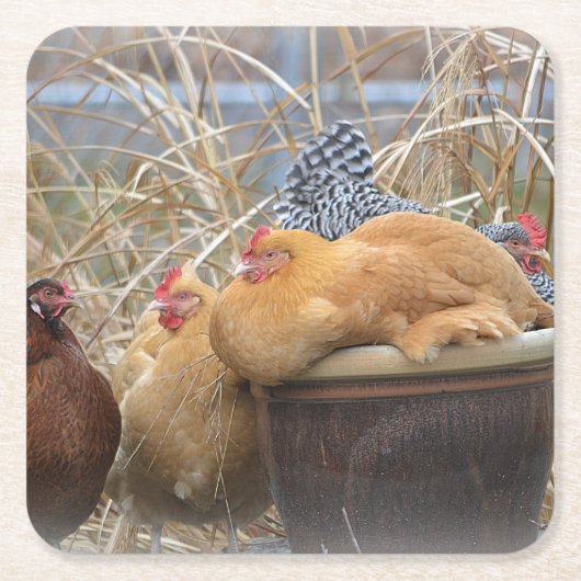 Hühner-Party-Untersetzer Rechteckiger Pappuntersetzer (Vorderseite)