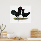 Hühner Poster (Küche)