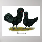 Hühner Poster (Vorne)