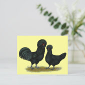 Hühner Postkarte (Stehend Vorderseite)