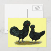 Hühner Postkarte (Vorne/Hinten)