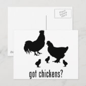 Hühner Postkarte (Vorne/Hinten)
