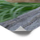 Hühner sind das neue Hundepuster Poster (Ecke)