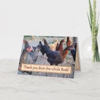 Hühner Spaß Funny Barnyard Danke Karte