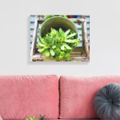 Hühner Succulents Foto Ölgemälde Leinwanddruck (Insitu (Wohnzimmer))