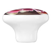 Hühner Sukkulente Pflanze Grüner Maroon Keramikknauf (Seitenansicht)