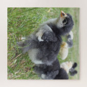 Hühner, Tiere, Küken, Vögel, Bauernhof, niedlich,  Puzzle (Horizontal)
