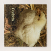 Hühner, Tiere, Küken, Vögel, Bauernhof, niedlich, Puzzle (Horizontal)