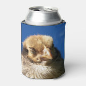 Hühner, Tiere, Küken, Vögel, Hof, Maske, niedlich, Dosenkühler (Kanne Vorderseite)